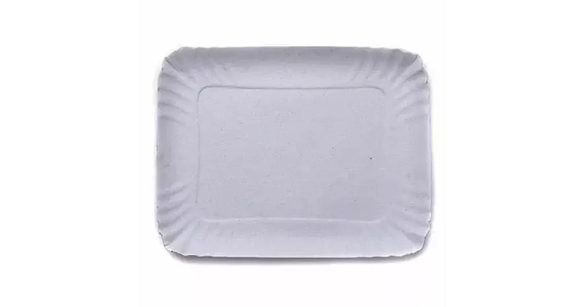 bandeja de carton gris n2