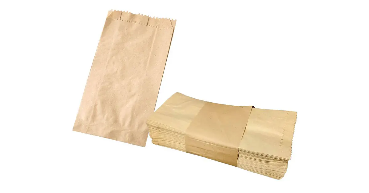 bolsa de papel kraft n1